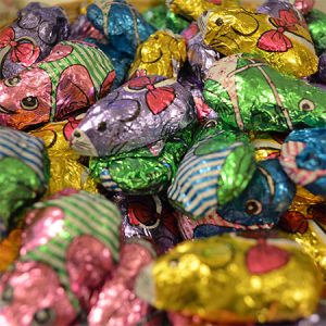 Spring Kikkers & Muizen